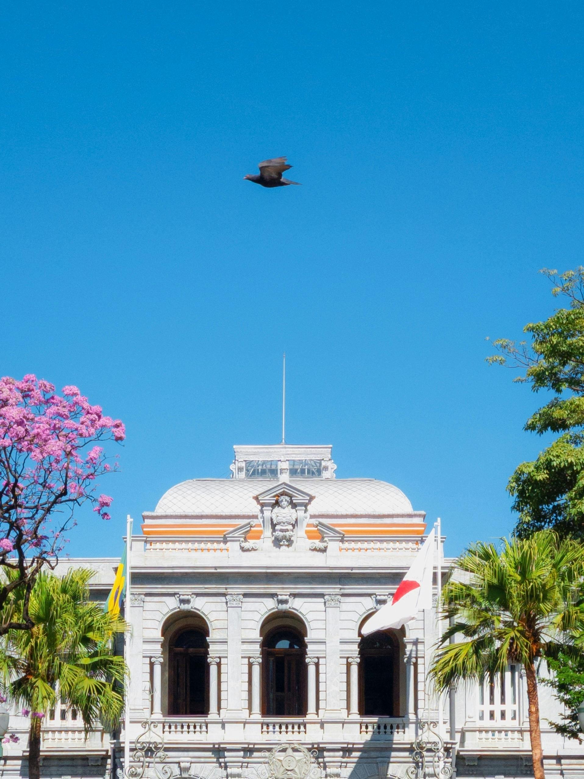 O que fazer em Belo Horizonte: Guia completo 2025